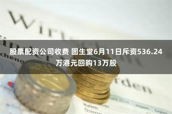 股票配资公司收费 固生堂6月11日斥资536.24万港元回购13万股