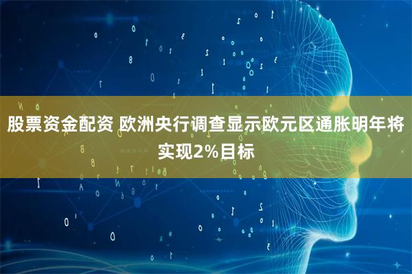 股票资金配资 欧洲央行调查显示欧元区通胀明年将实现2%目标