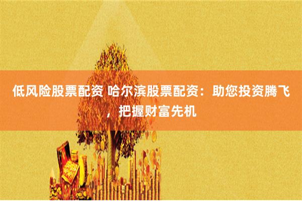 低风险股票配资 哈尔滨股票配资：助您投资腾飞，把握财富先机